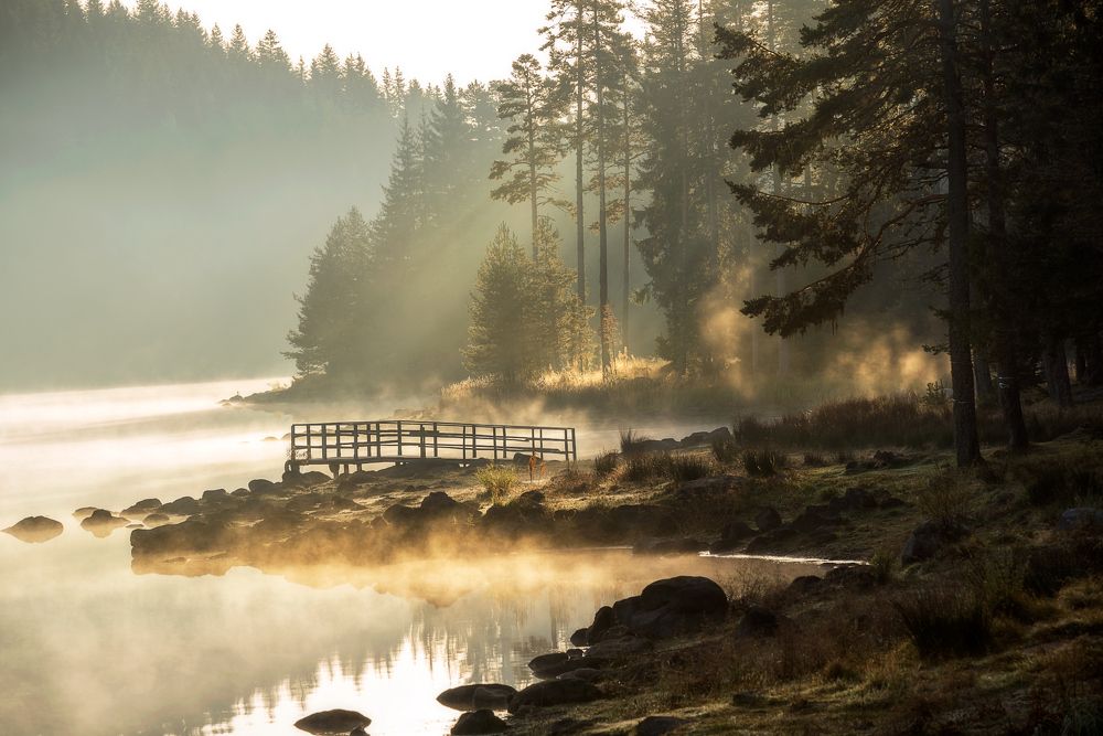 Фотография автора Mariyana Atanasova - Lucero