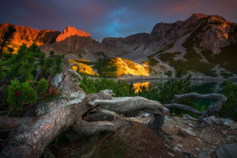 Фотография автора Mariyana Atanasova - Lucero