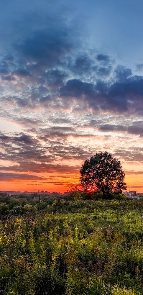 Photograph by Анастасия Семилетова