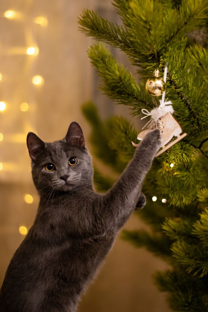 Фотография автора Александр Булавко