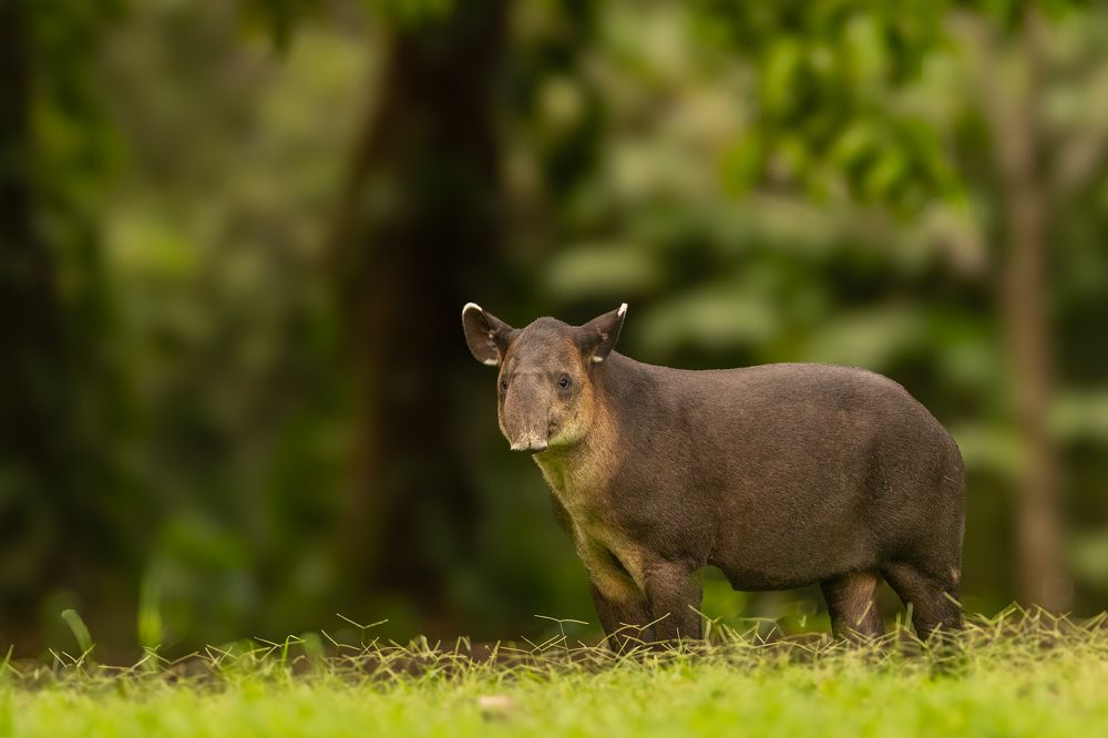 Photograph by Ricardo Ferreira