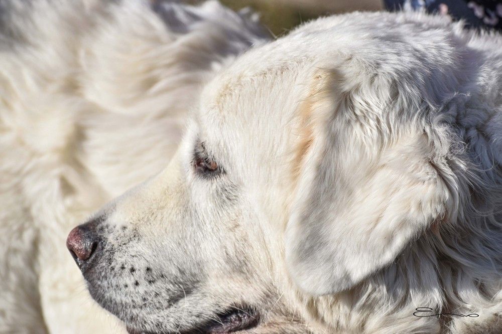 Photograph by Eva Kurkjian