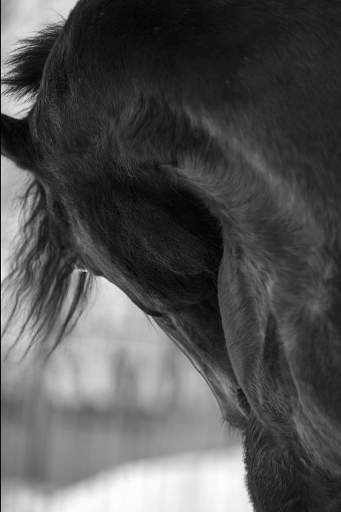 Photograph by Любовь Похабова