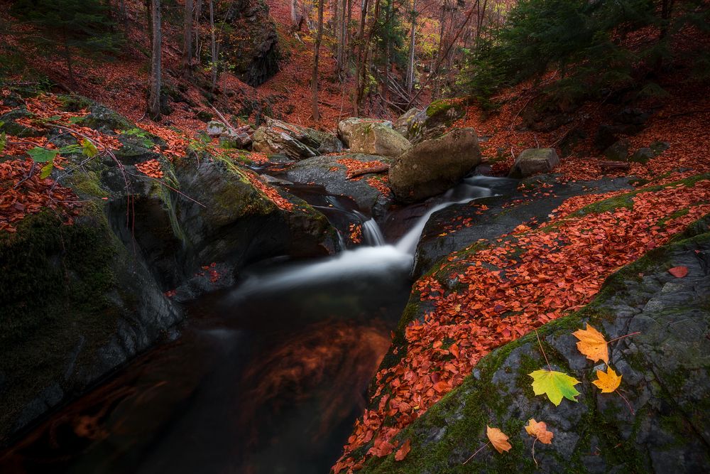 Фотография автора Mariyana Atanasova - Lucero
