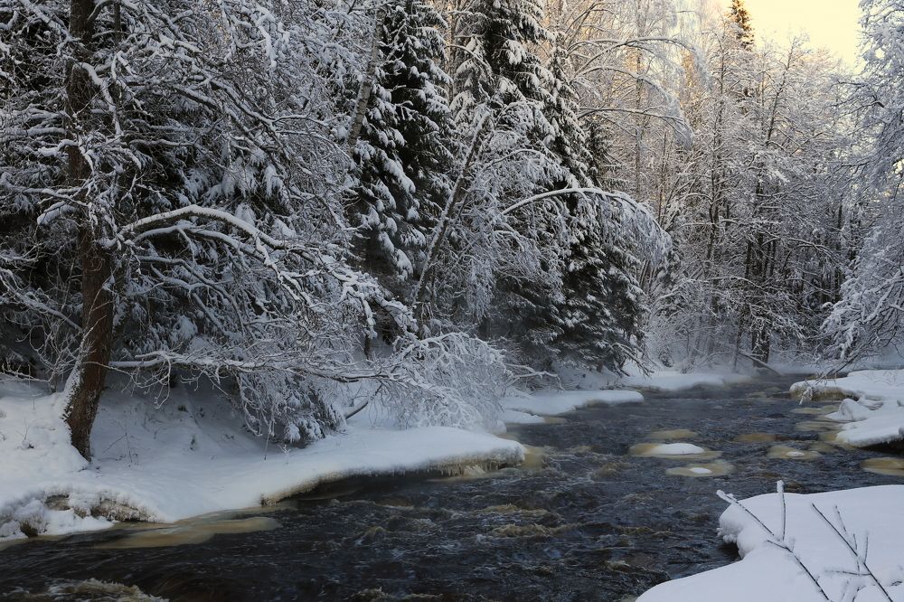 Photograph by Унку Юрий