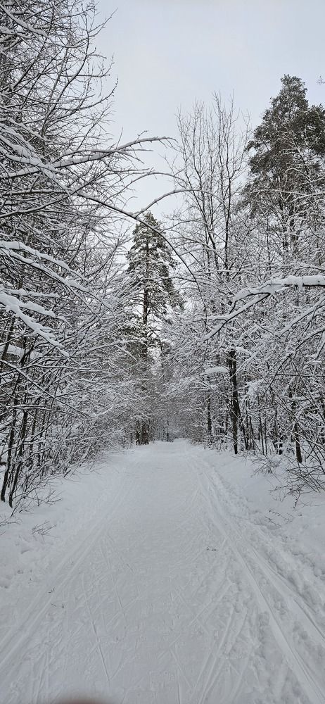 Photograph by Дмитрий