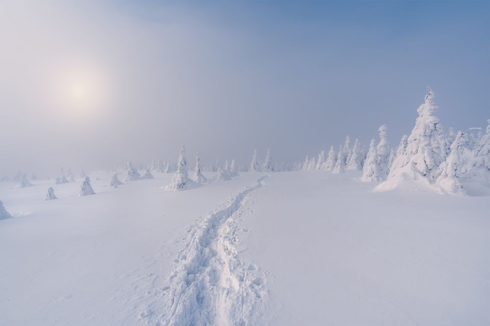 Photograph by Peter Dužek