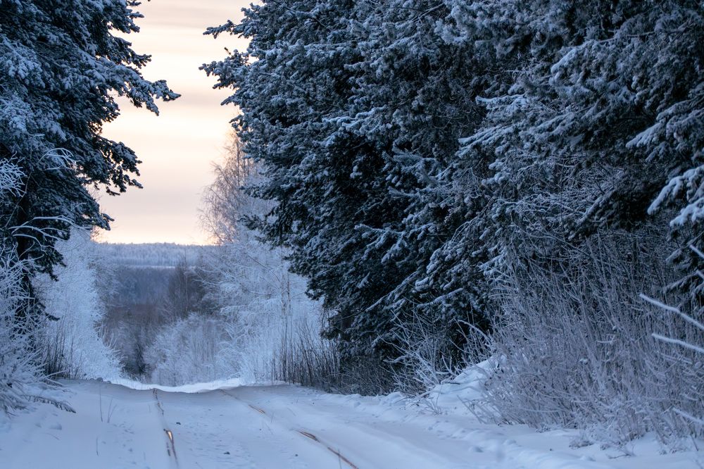 Photograph by Alexandr