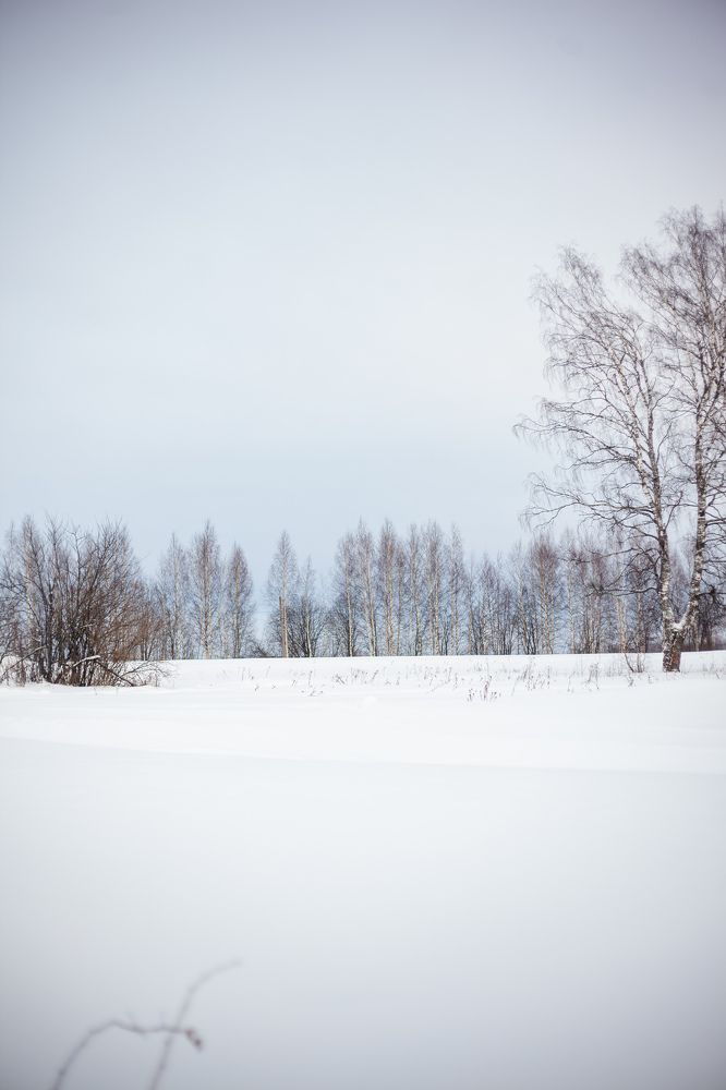 Photograph by Светлана Мишенёва