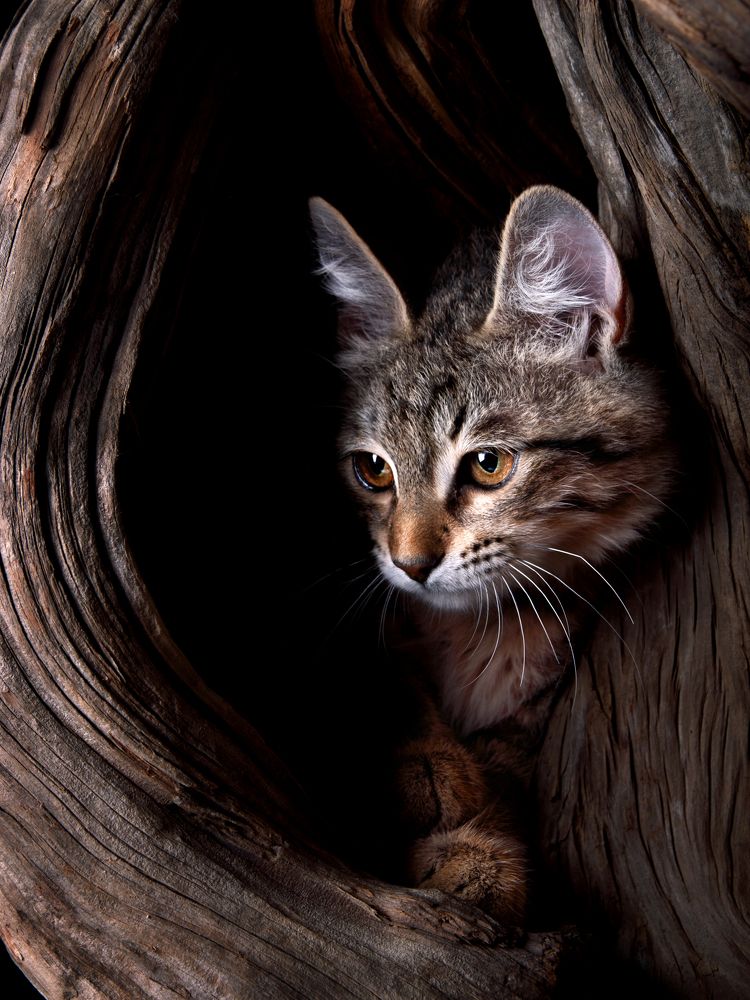 Photograph by Evgeniy Savikov