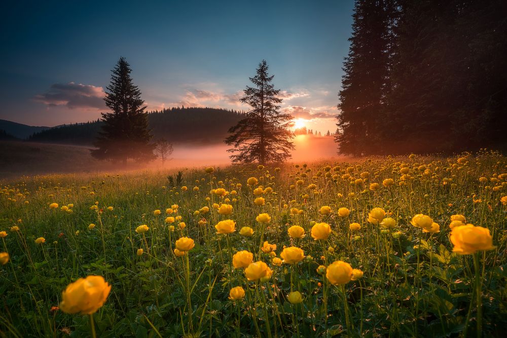 Фотография автора Mariyana Atanasova - Lucero