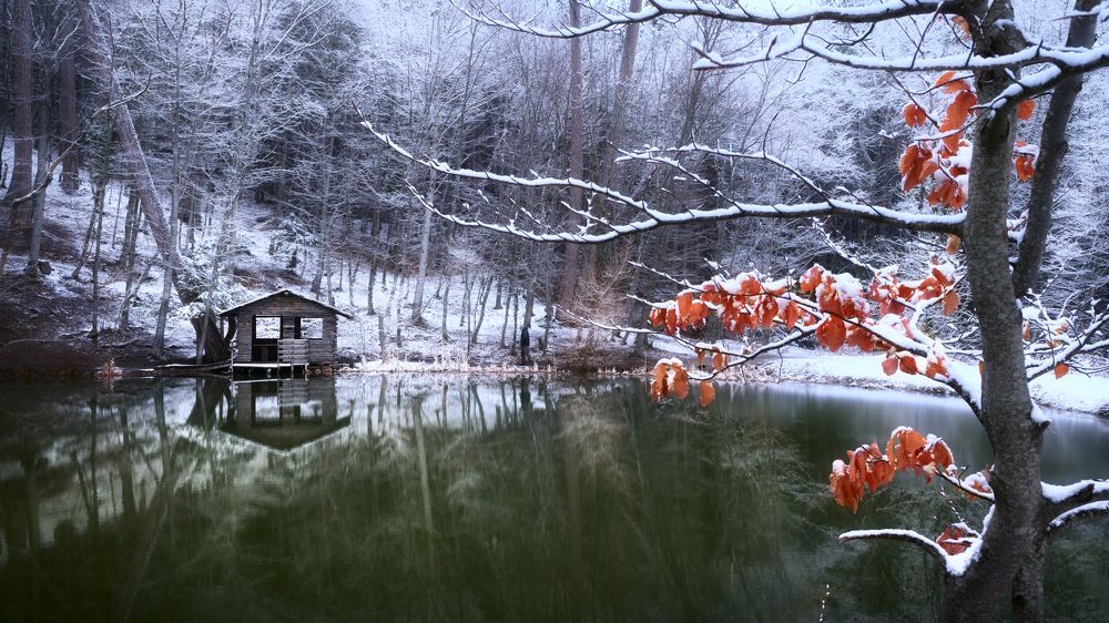 Photograph by Семенюк Василий