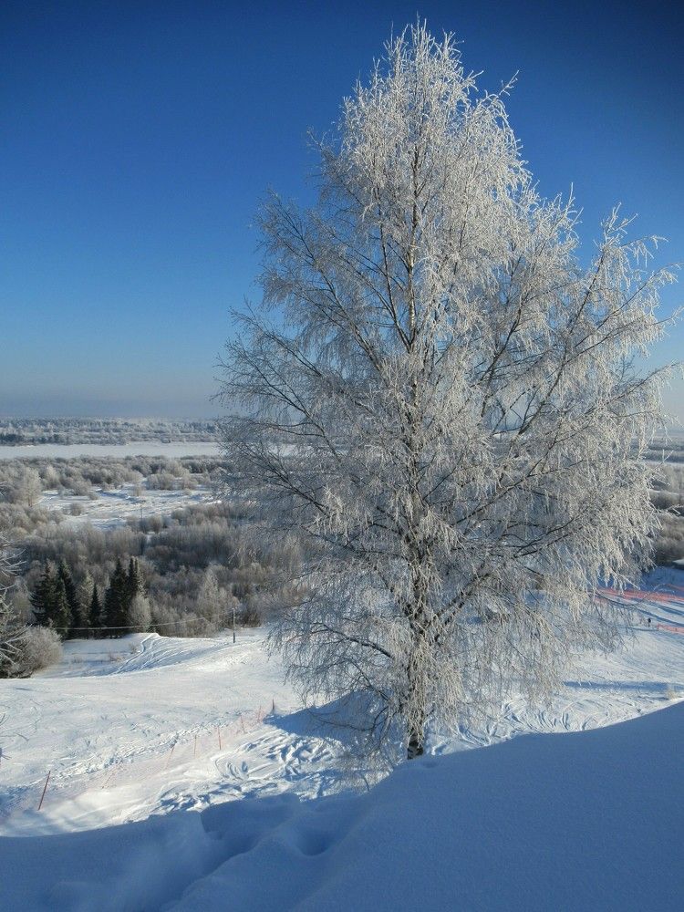 Photograph by Ольга Березовская
