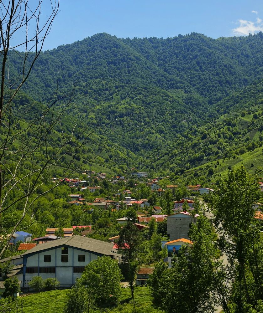 Photograph by Hadi Hadipour