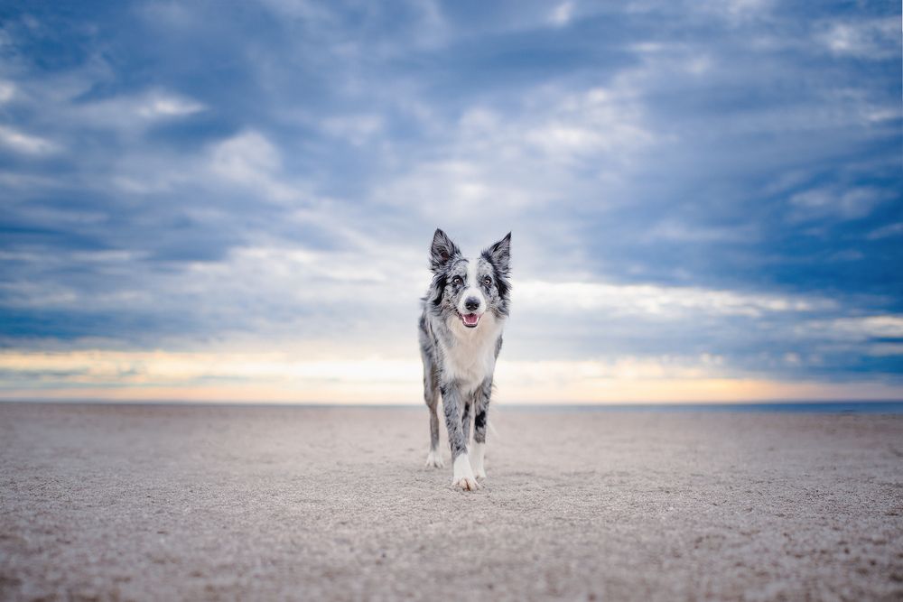 Photograph by Татьяна Полякова