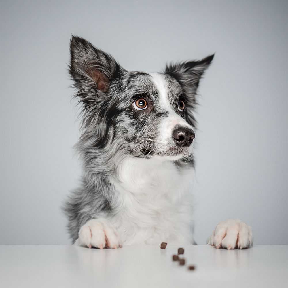 Photograph by Татьяна Полякова