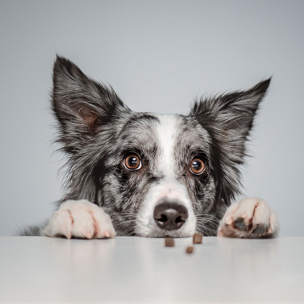 Photograph by Татьяна Полякова