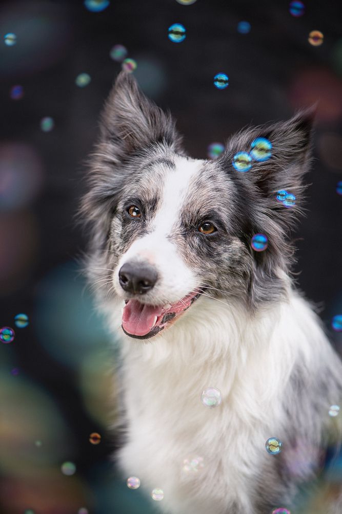 Photograph by Татьяна Полякова