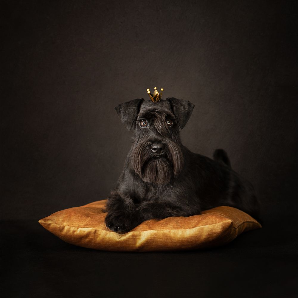 Photograph by Татьяна Полякова