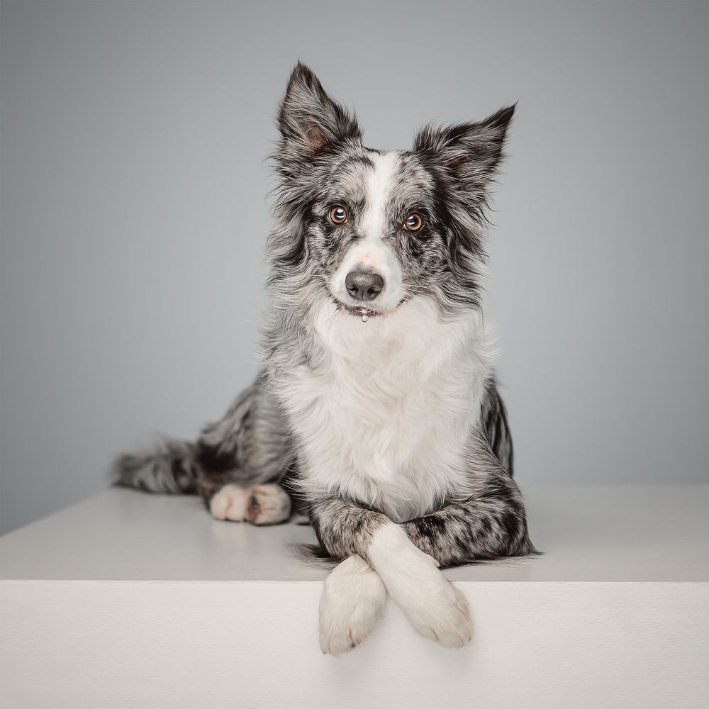 Photograph by Татьяна Полякова