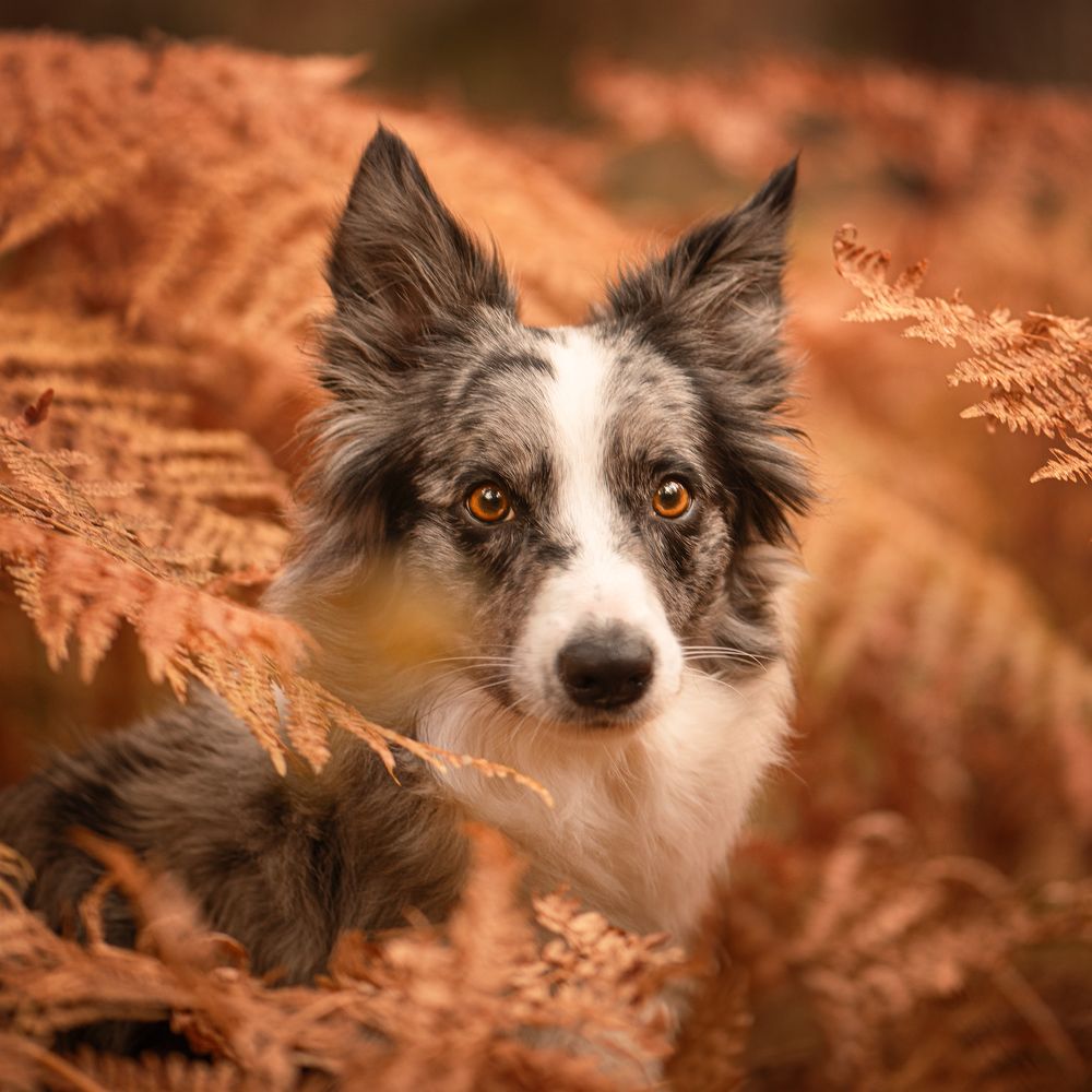 Photograph by Татьяна Полякова