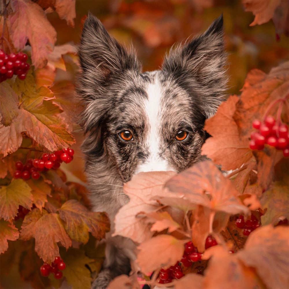 Photograph by Татьяна Полякова