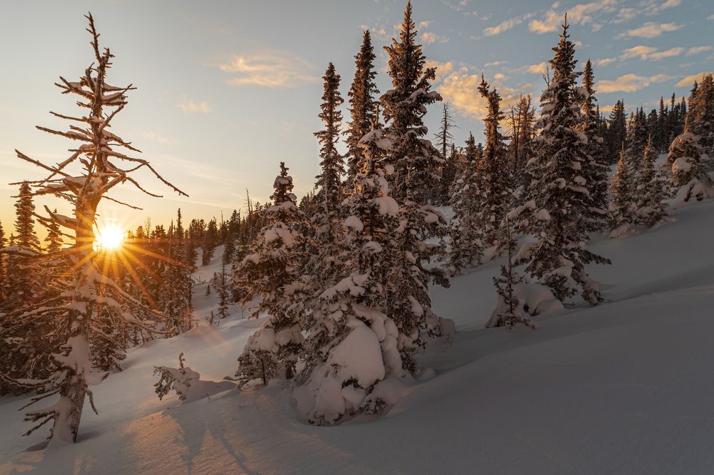 Photograph by Светлана Андреева