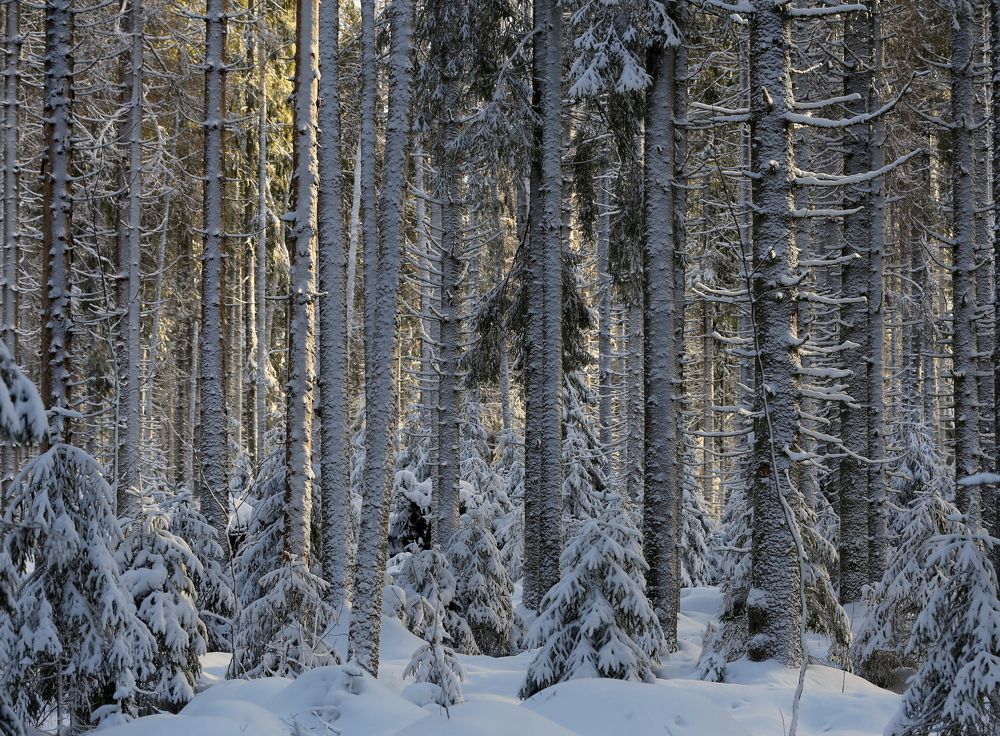 Photograph by Унку Юрий