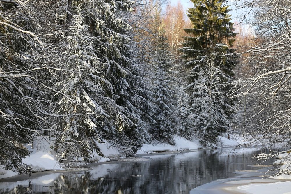 Photograph by Унку Юрий