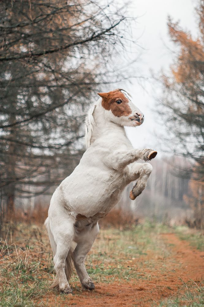 Photograph by Полина