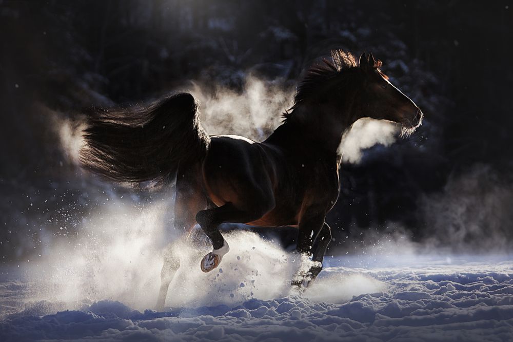 Photograph by Дарья Ералева