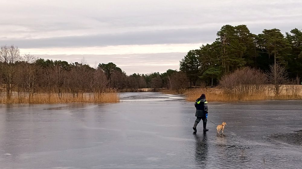 Photo #10109342