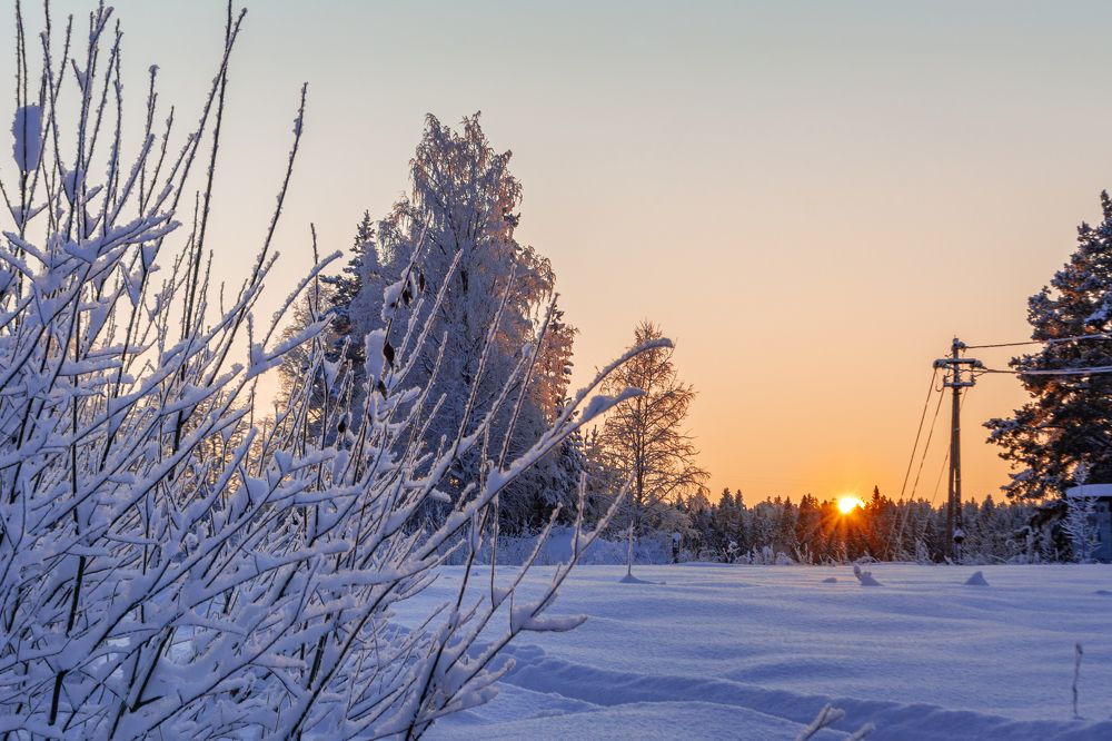Photograph by Глеб Обуховский