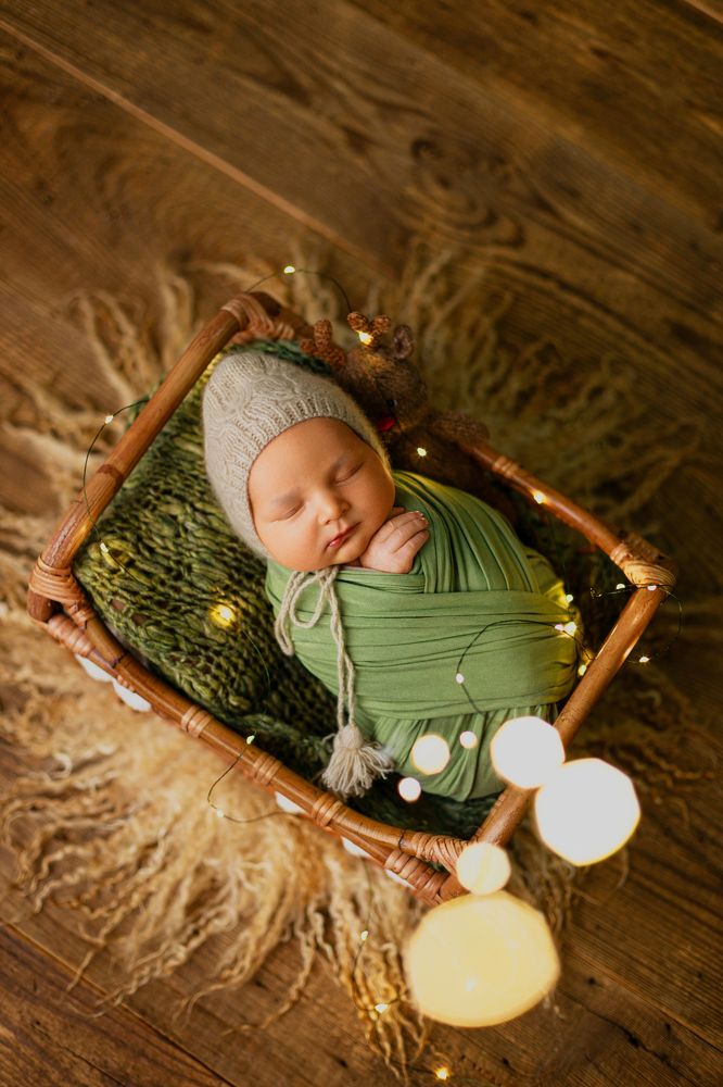 Фотография автора Алексей Сафаров