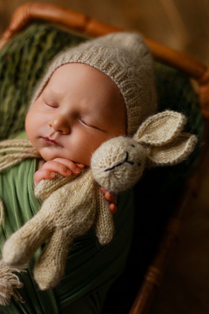 Фотография автора Алексей Сафаров