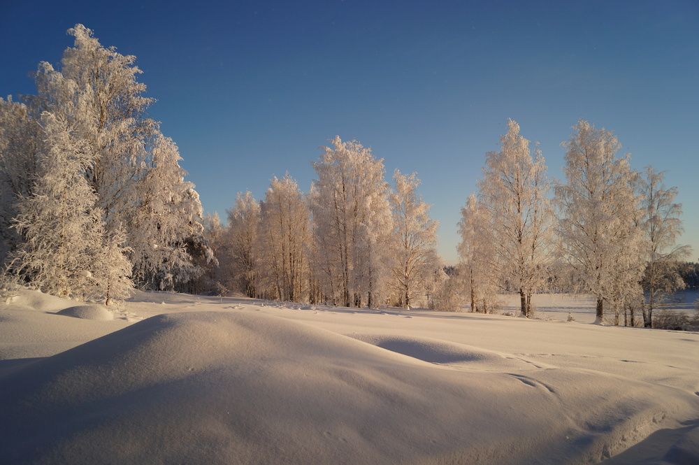Photograph by Светлана Трушкова