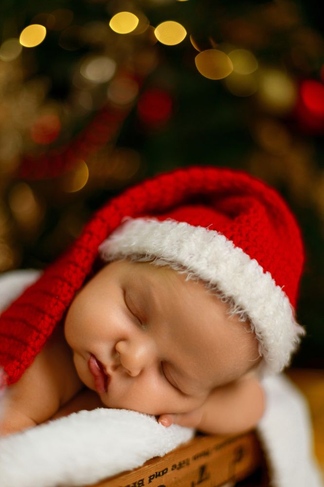 Фотография автора Алексей Сафаров