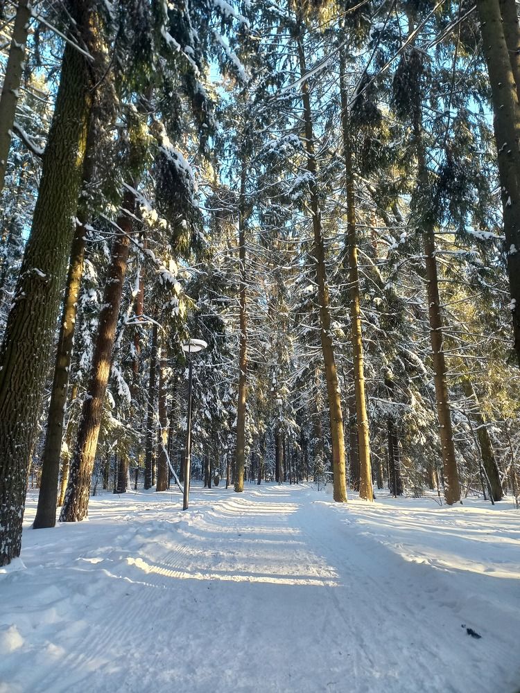 Photograph by Полина Зуева