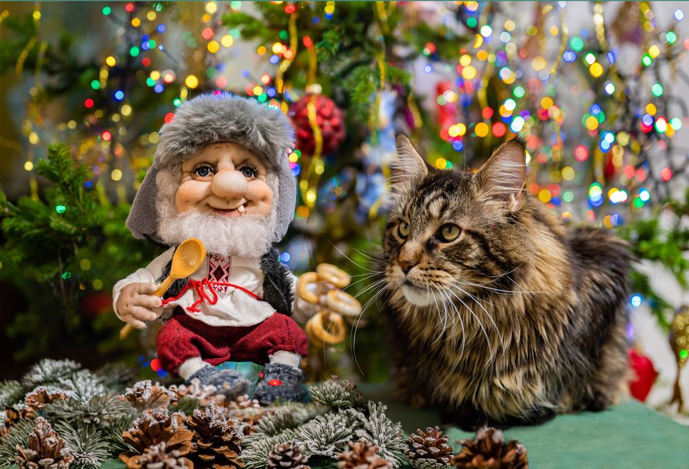 Photograph by NADEZHDA PELYMSKAIA