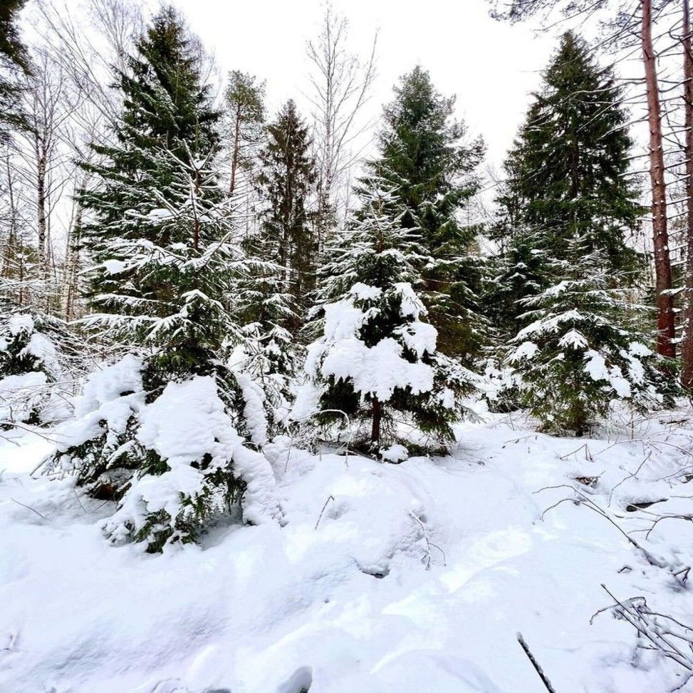 Фотография автора Илья