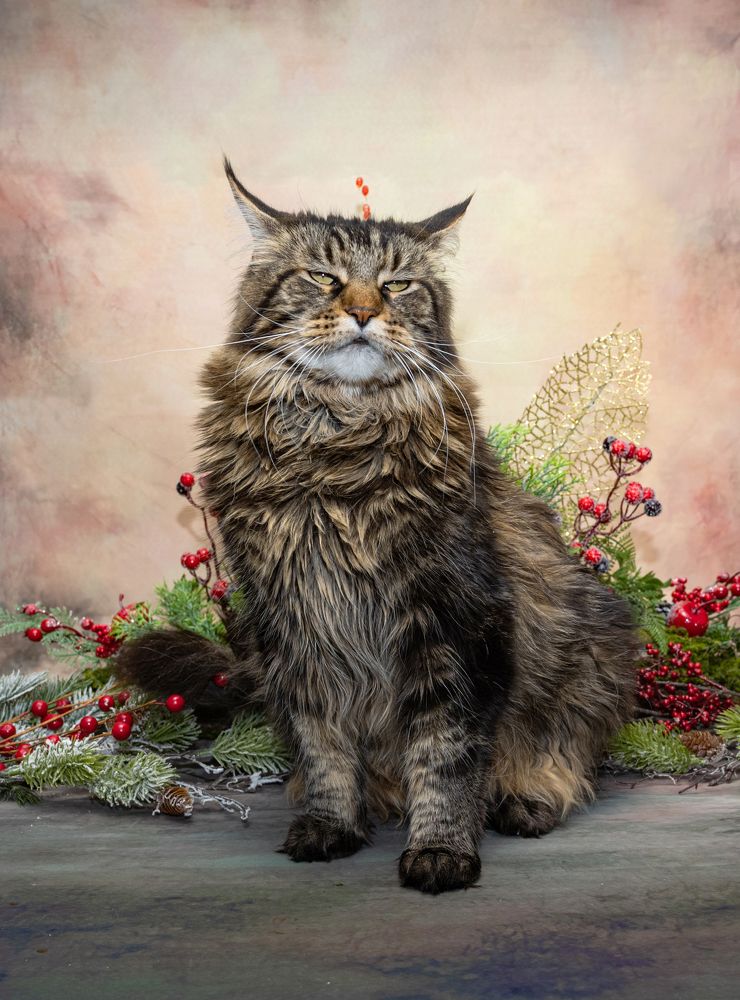 Photograph by NADEZHDA PELYMSKAIA