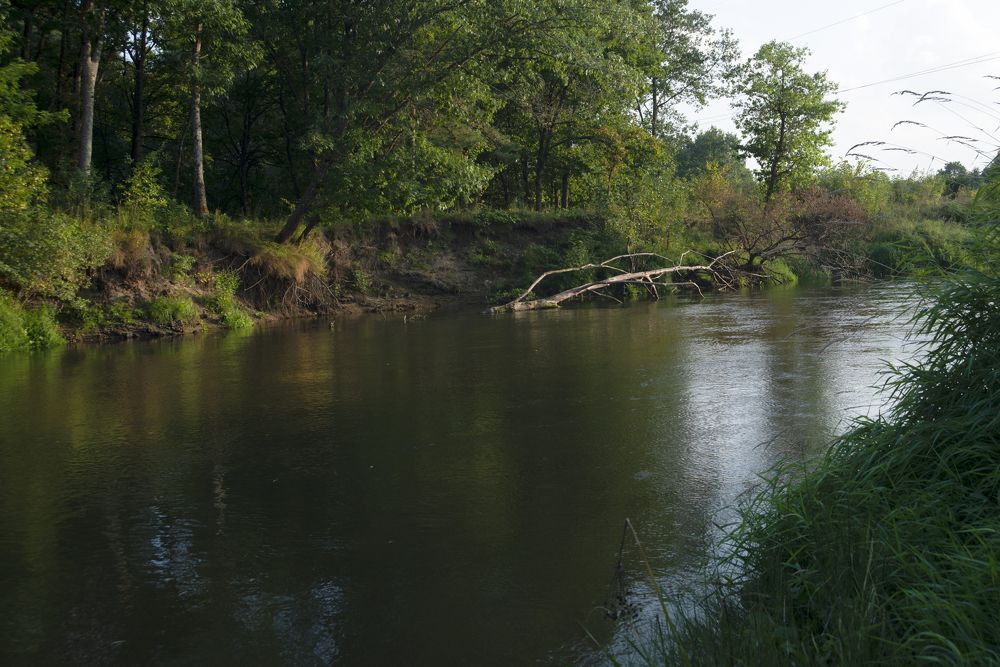 Photograph by Светлана Зайкова