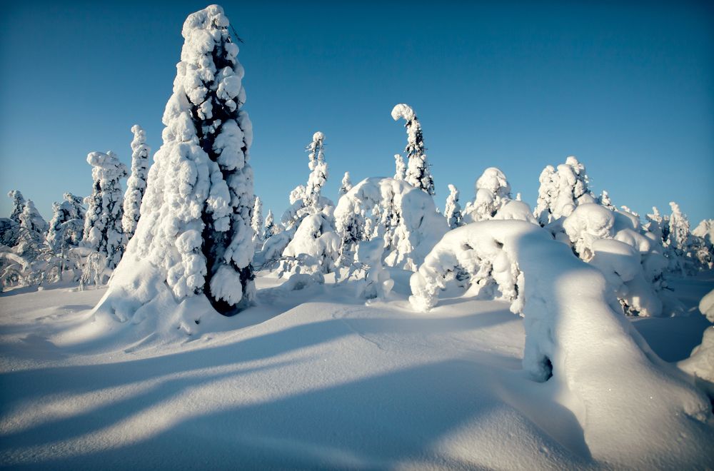 Photograph by Ирина Шевакова