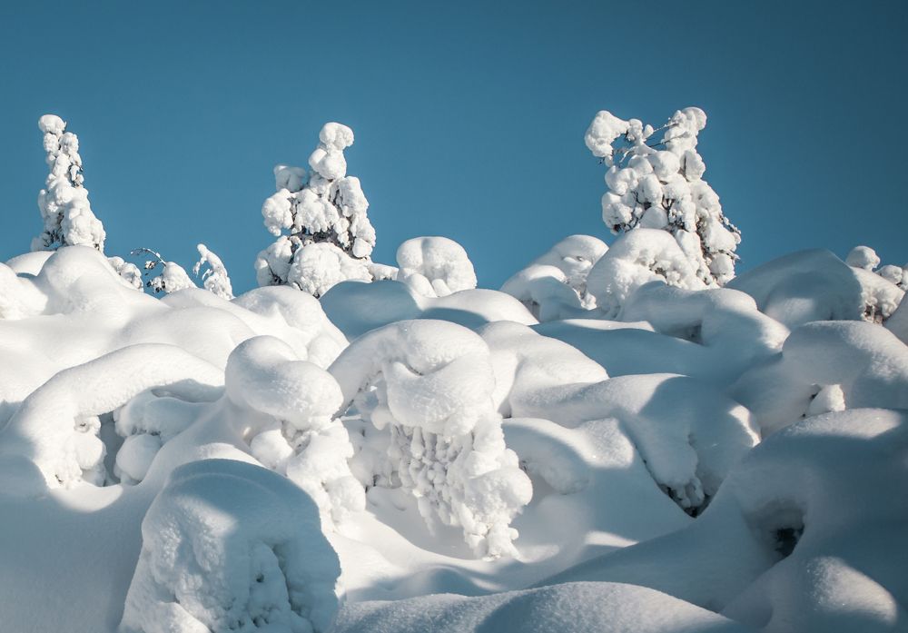 Photograph by Ирина Шевакова