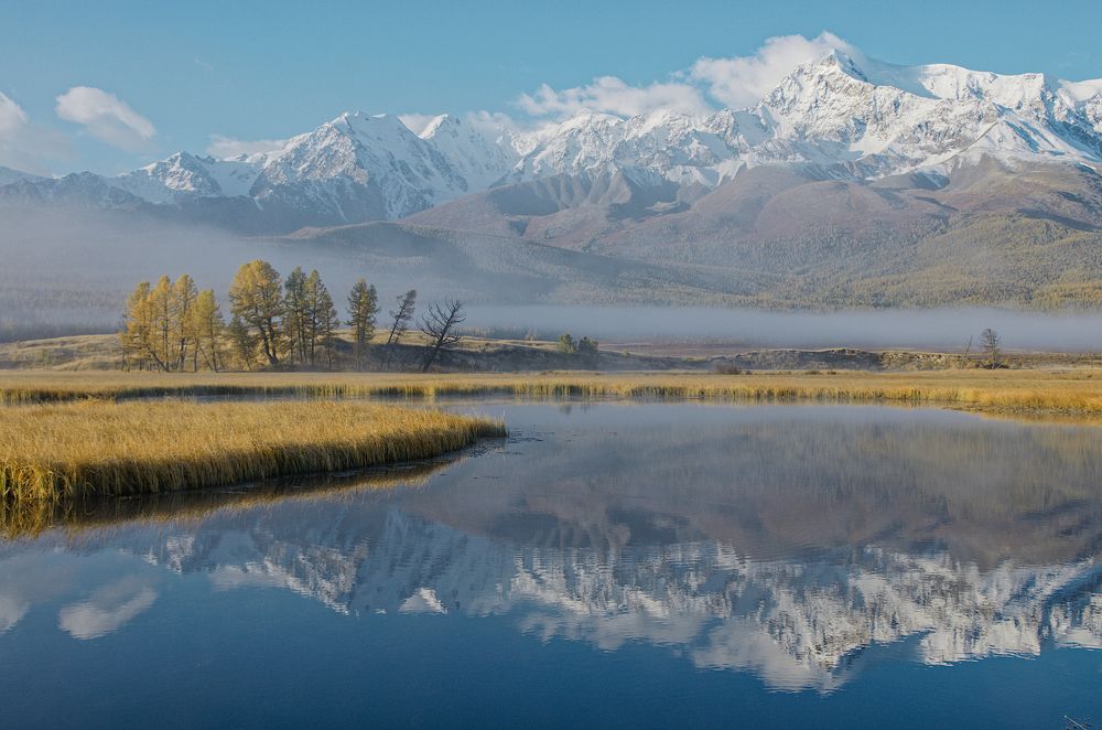 Нарисуй художник осень