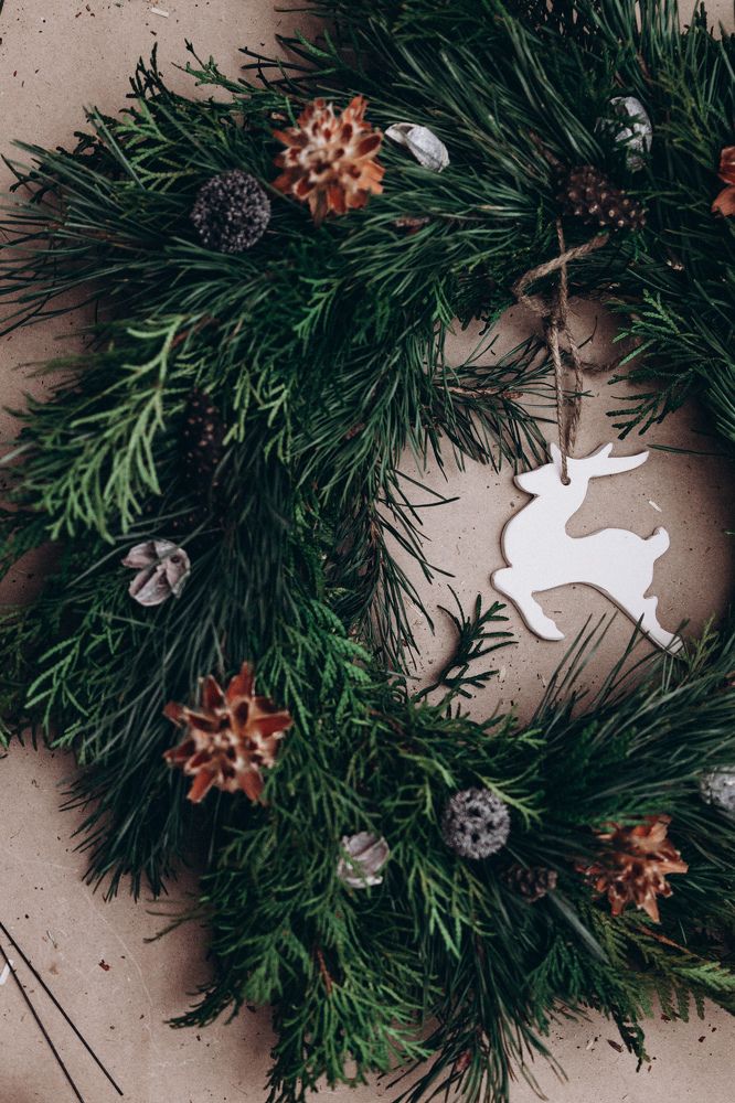 Photograph by Мария Корвин-Кучинская