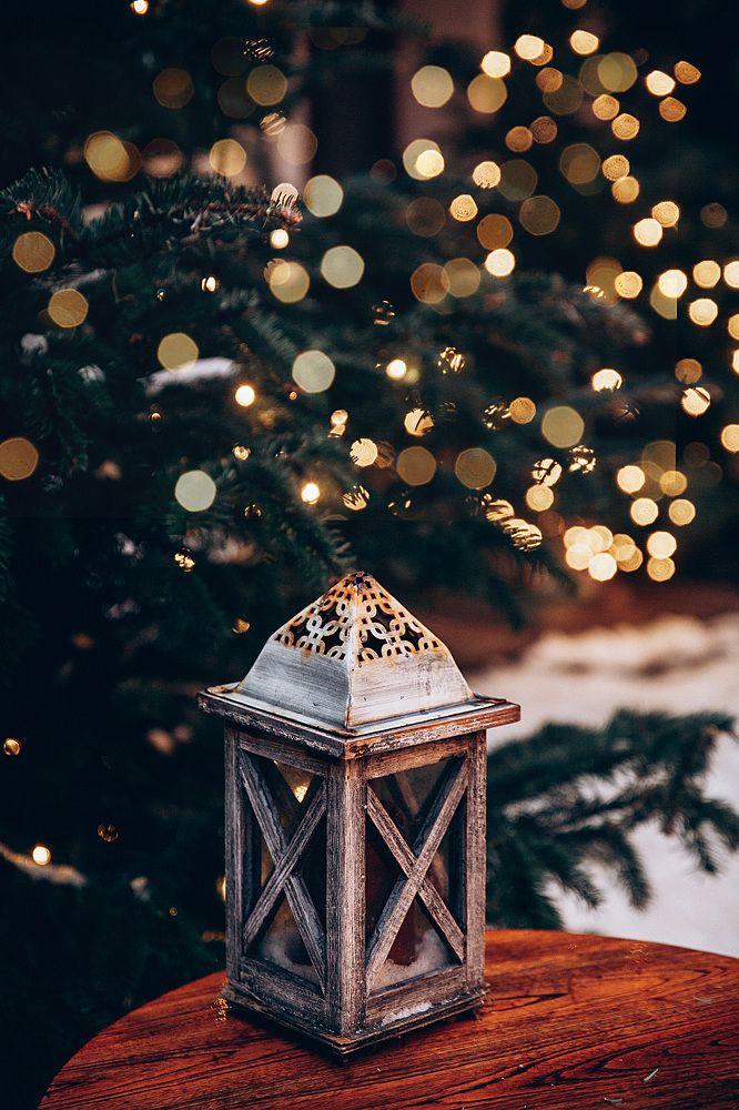 Photograph by Мария Корвин-Кучинская