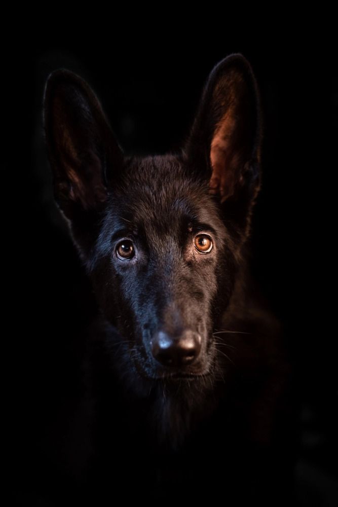 Photograph by Анна Иванова