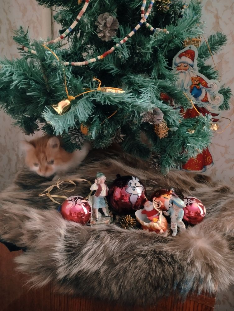 Photograph by Надежда Болтунова