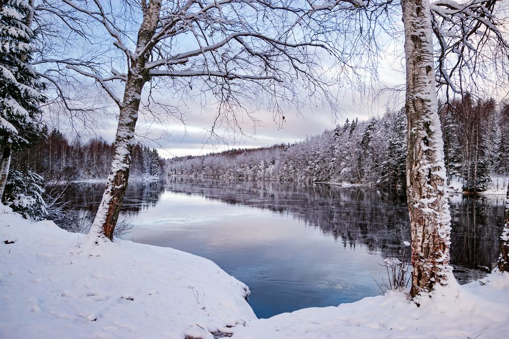 Photograph by Елена Амозова